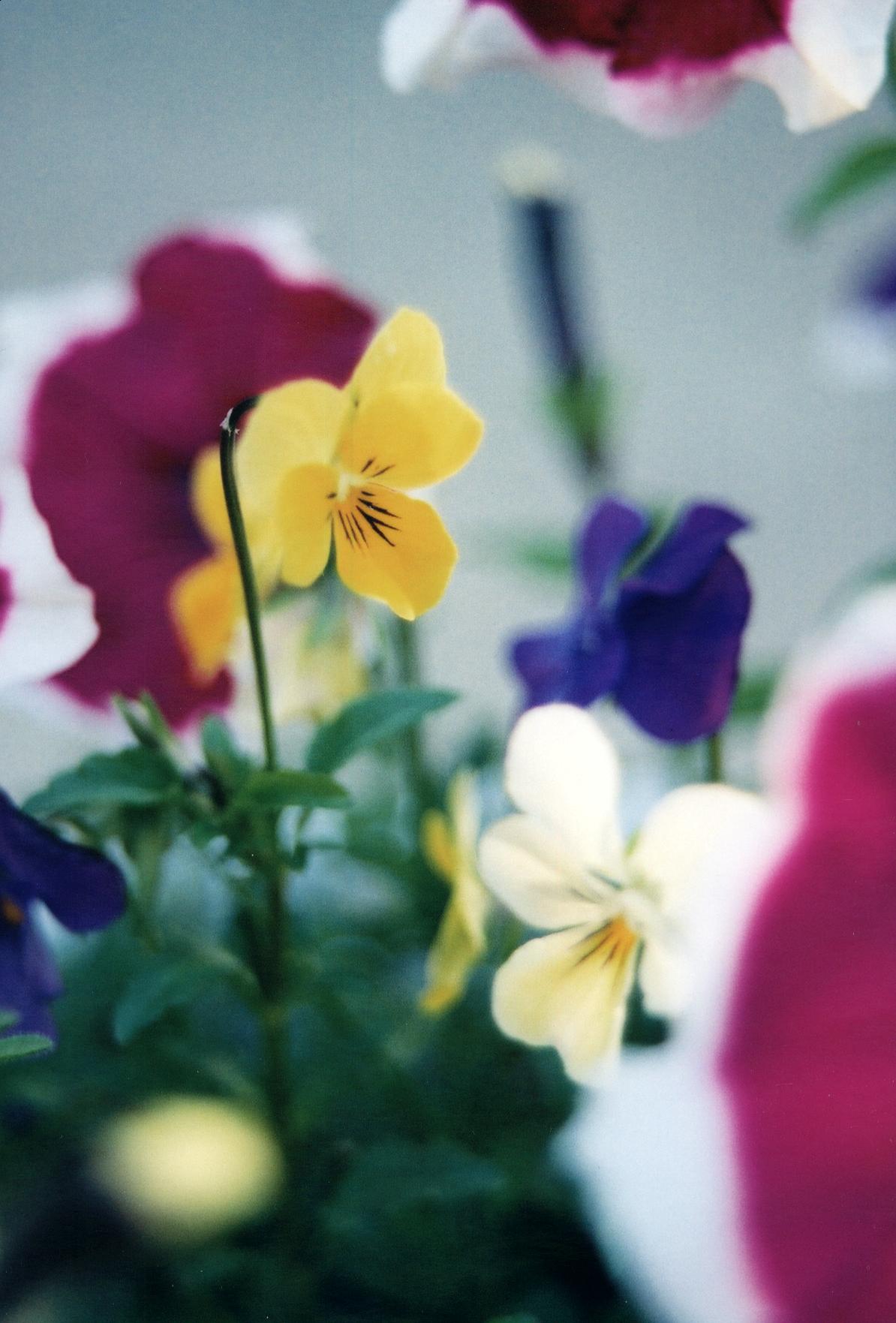 2019-01-24-13-16-018